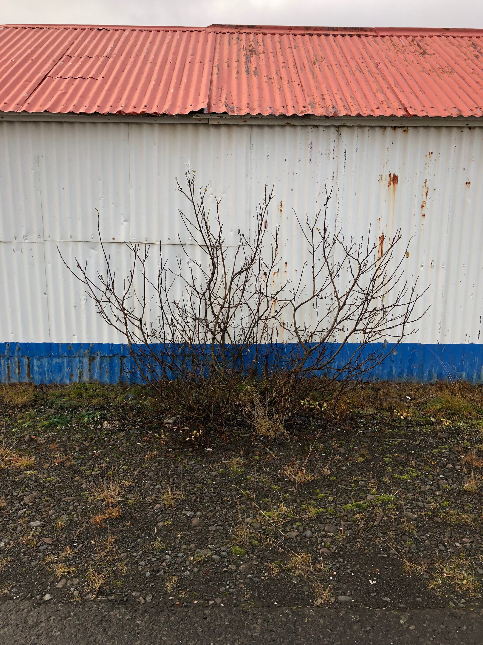 Inspiration from Iceland