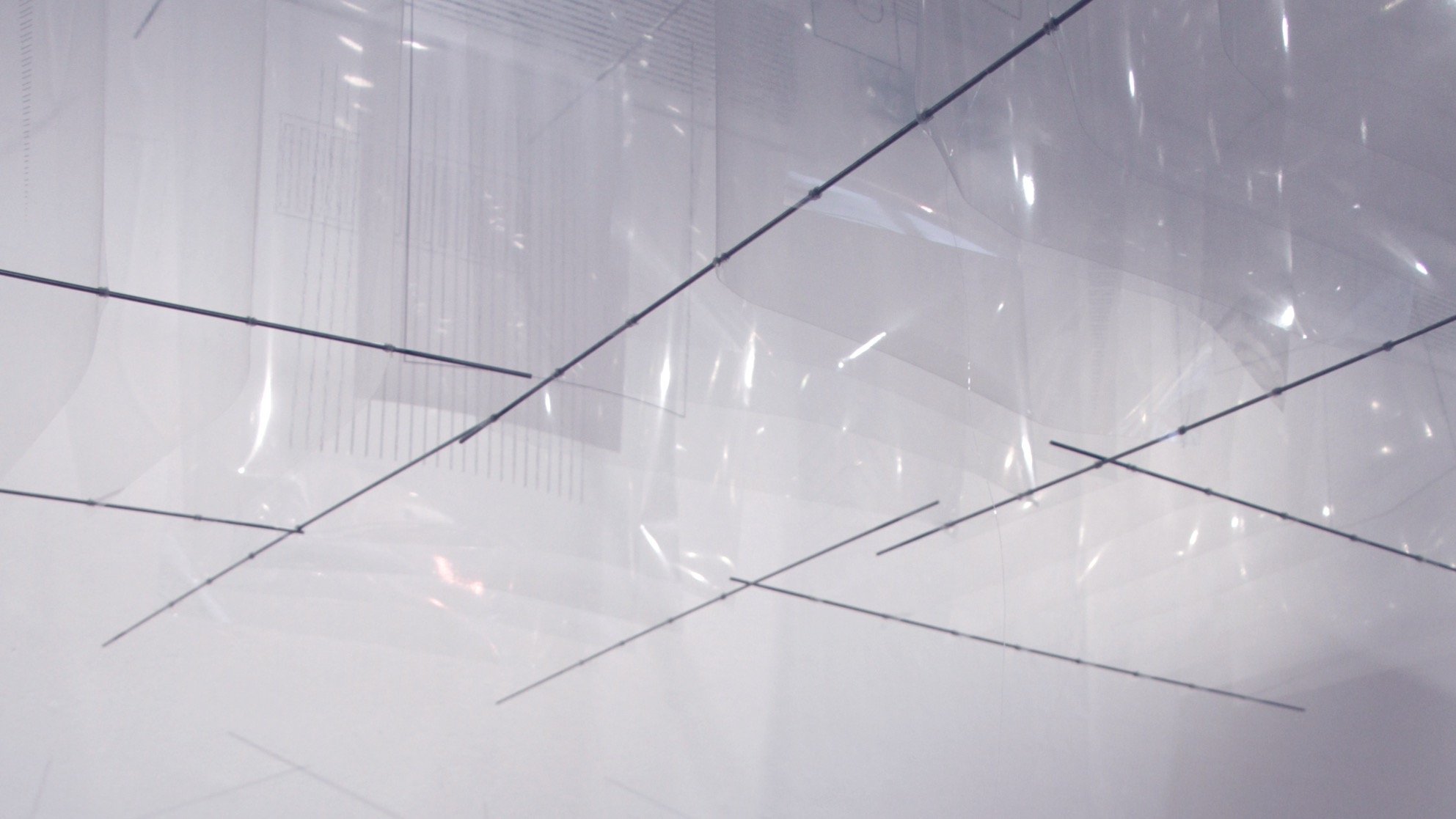 The voice of stripes, installation view